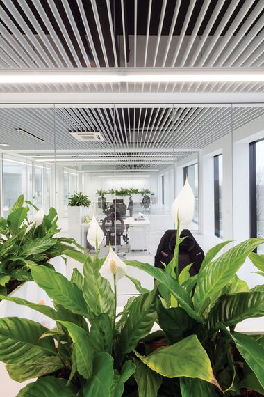 CW 50-HI Façades and ConceptSystem 59Pa Windows - Pivexin Technology Headquarter located in Babice, Poland